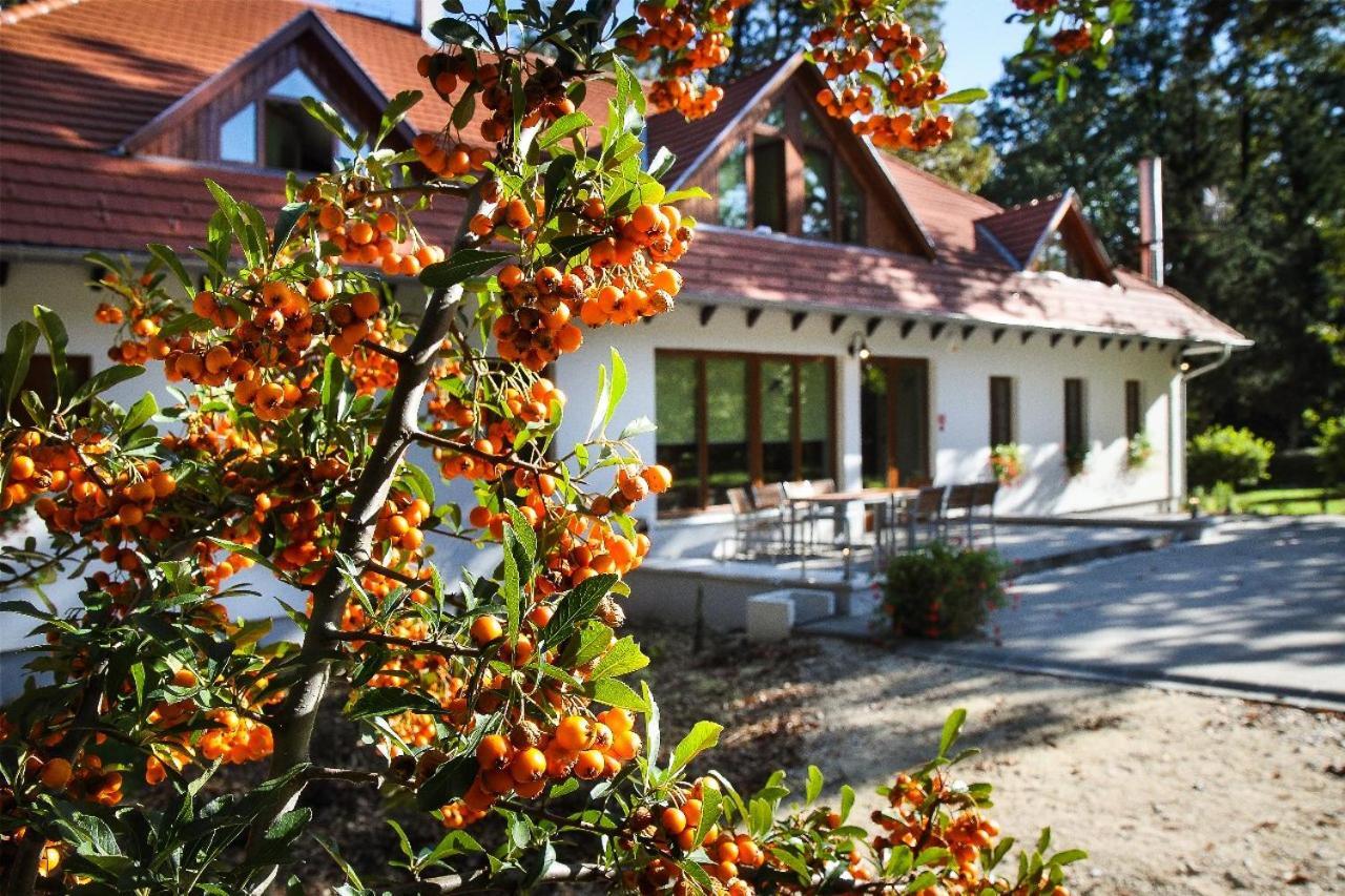 Hodoseri Vadaszhaz Bakonyszentlaszlo Exterior photo